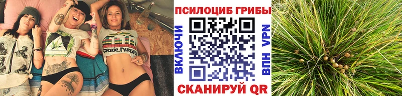 Псилоцибиновые грибы прущие грибы  Темрюк 